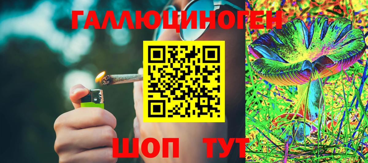 Псилоцибиновые грибы Cubensis Ижевск